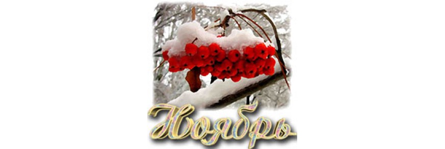 Ноябрь