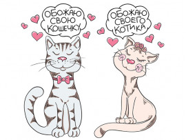 Две футболки с парным дизайном (30329)