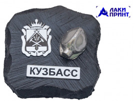 (30032) Магнит с шильдом Каска, герб (СЕРЕБРО) 5х5 см (30032) Магнит с шильдом Каска, герб (СЕРЕБРО) 5х5 см