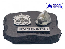 (30032) Магнит с шильдом Каска, герб (СЕРЕБРО) 5х5 см