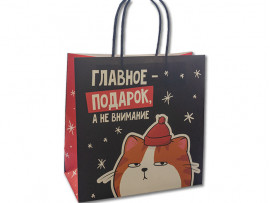 Пакет подарочный «Главное - подарок», 22×22×11см