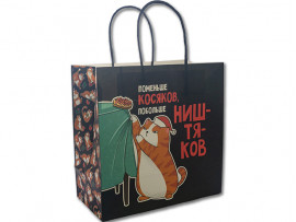 Пакет подарочный «Косяки наше все», 22×22×11см