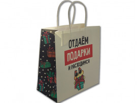 Пакет подарочный «Отдаём подарки», 22×22×11см