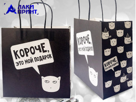 Пакет подарочный «Короче, это мой подарок», 22×22×11 см